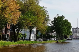 Rijswijkse PvdA: geen aantasting Delftweg